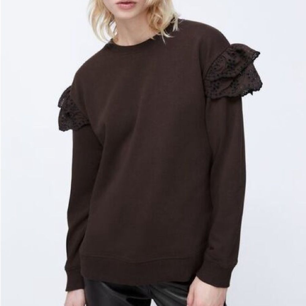 Zara size medium Brown Sweater with Lace Ruffle Sleeves